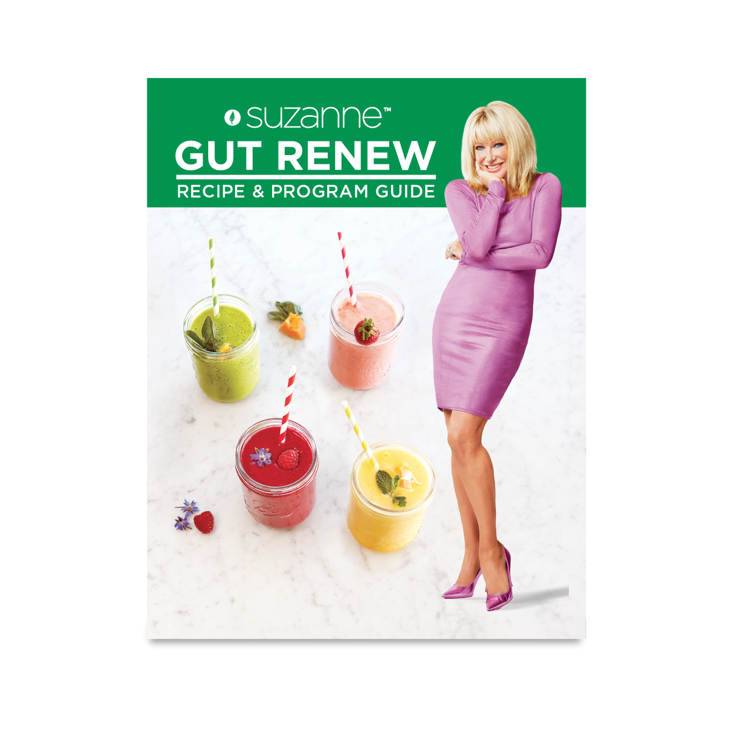 GUT RENEW 30-Day Challenge Program & Recipe Guide