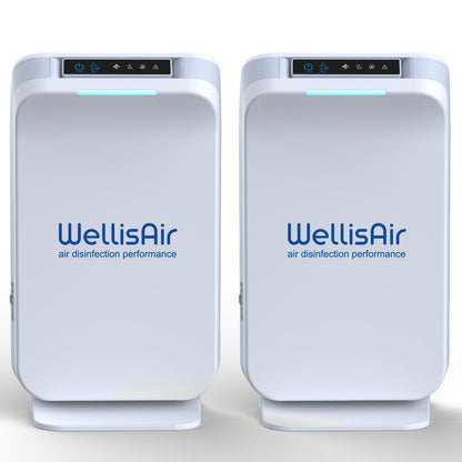 WellisAir Total Home Purification Unit