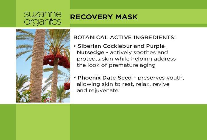 Skincare - SUZANNE Organics Recovery Mask