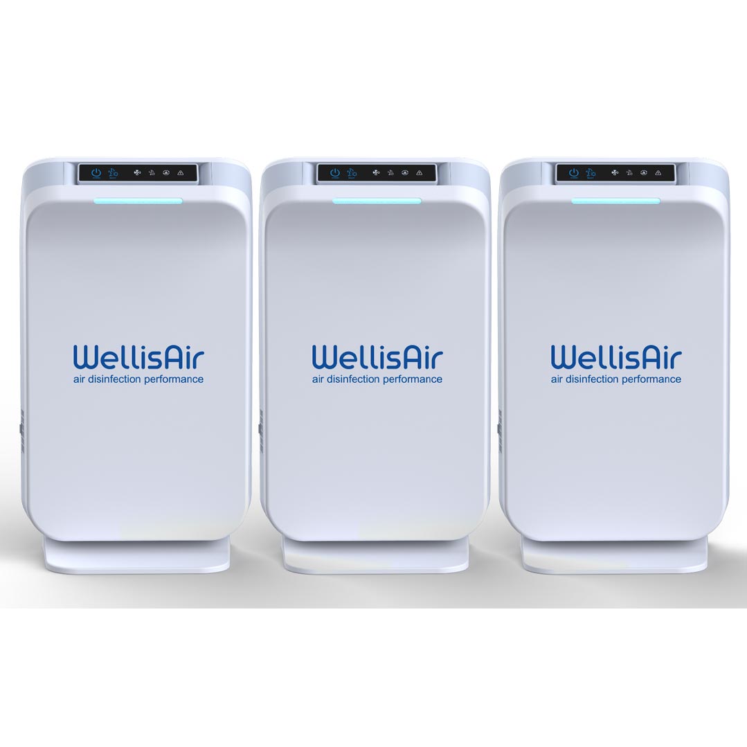 WellisAir Total Home Purification Unit